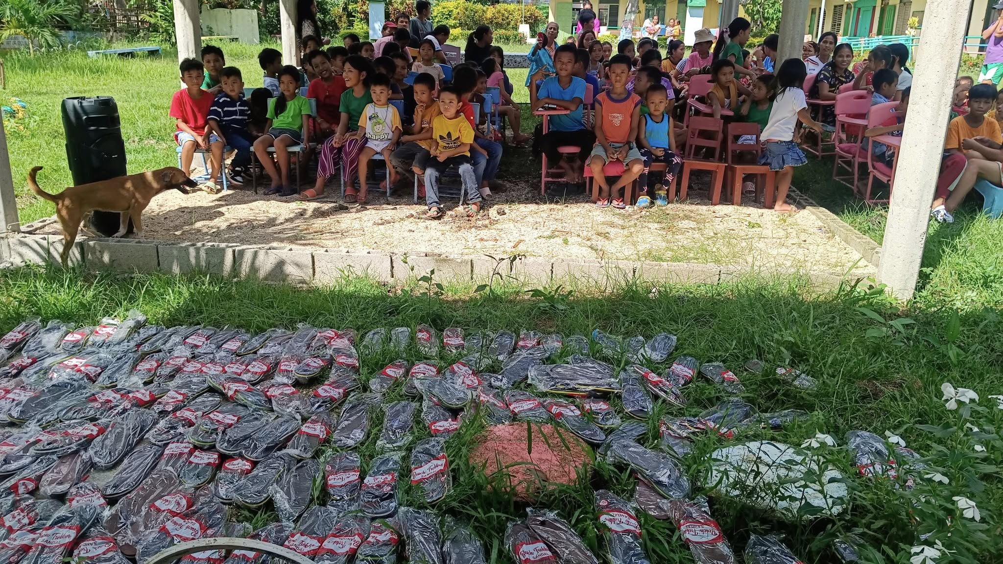 Youth Engagement